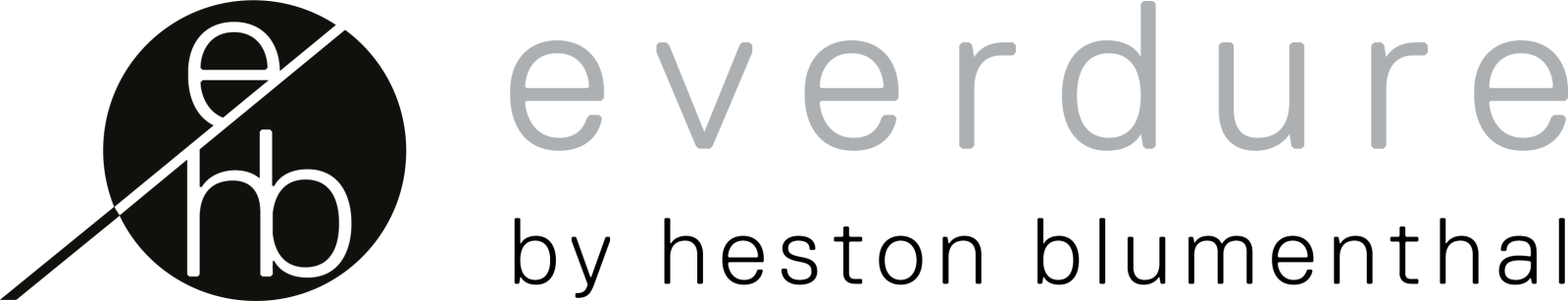Everdure logo